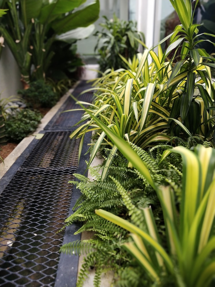 beds in garden hostel sdn bhd