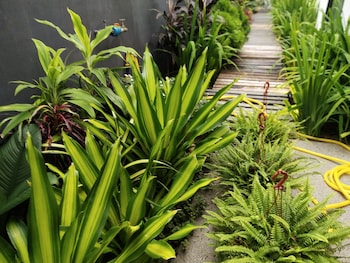 beds in garden hostel sdn bhd