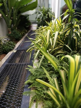 beds in garden hostel sdn bhd