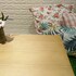 friends hostel