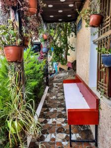 amman