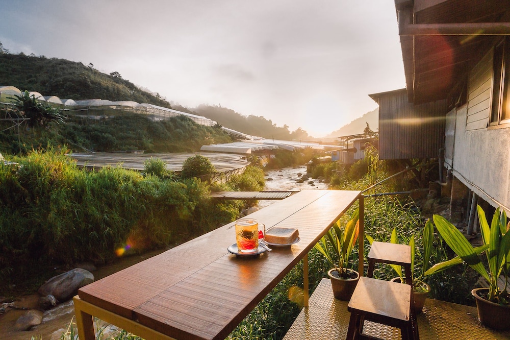 cameron highlands