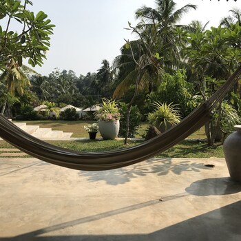 tropical house jungleside villa