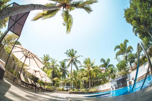 tropical house jungleside villa