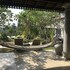 hikkaduwa