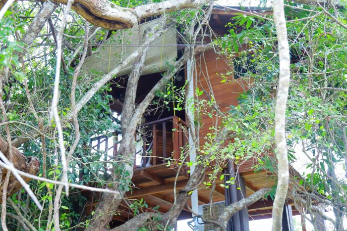 sigiriya kings resort