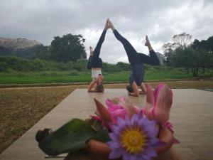 sigiriya kings resort