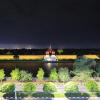 Sunset Palace View Suites,Mandalay Region>>Mandalay,3.5 star