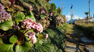 club es deurali resort