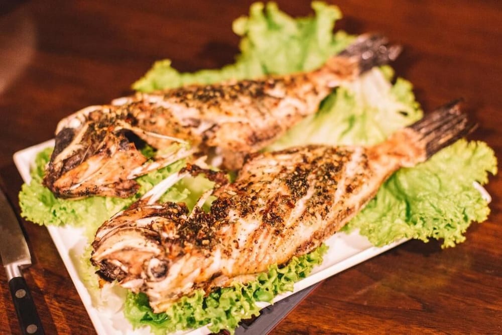 blue parrot beach villa