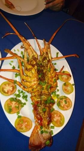 blue parrot beach villa