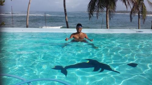 blue parrot beach villa