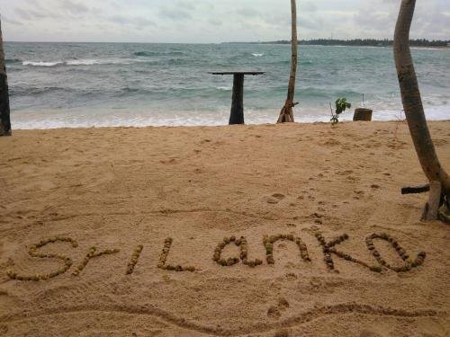 blue parrot beach villa