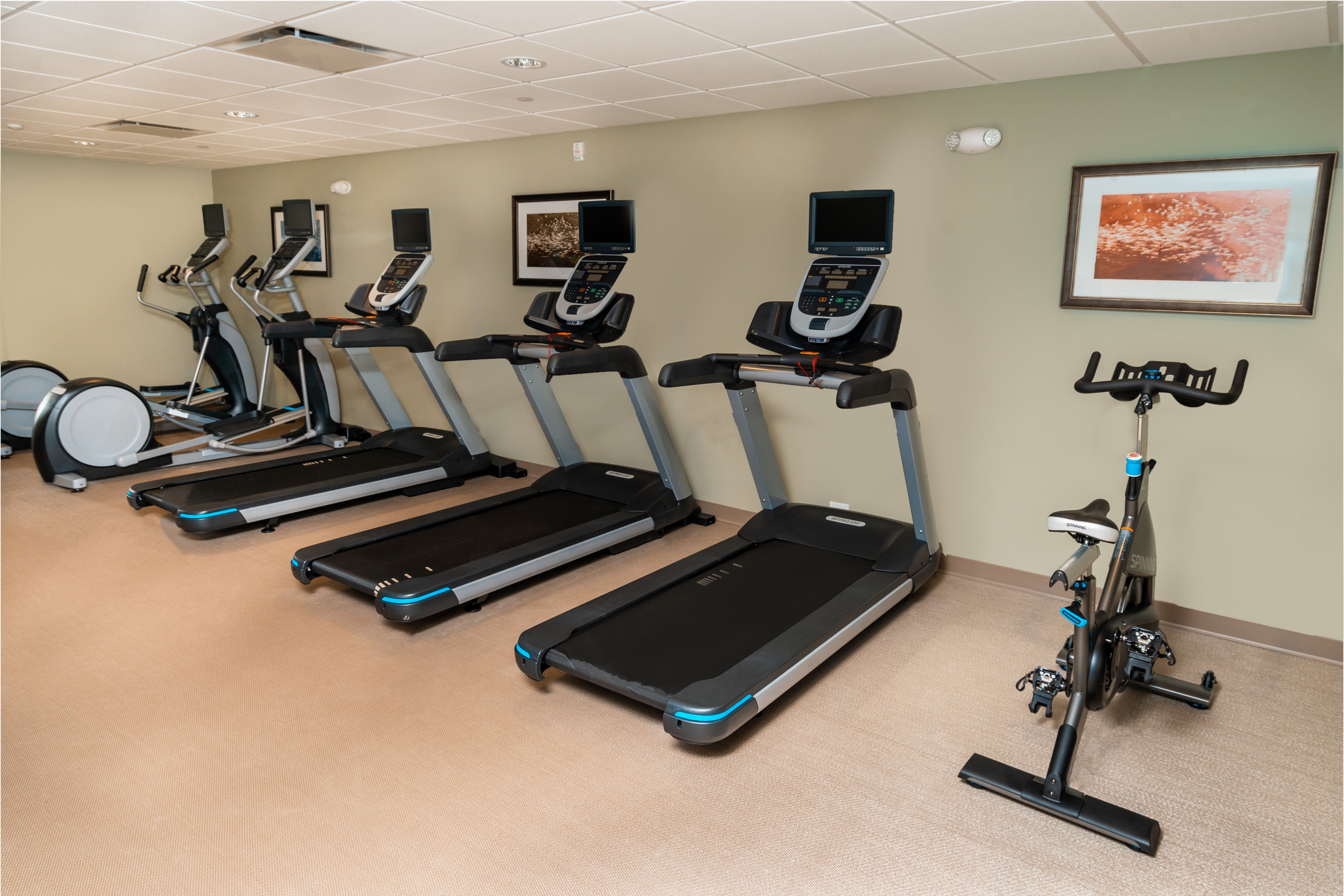 staybridge suites newark fremont an ihg hotel