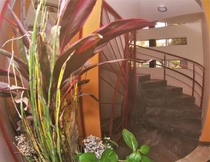 hotel jard inn adults only