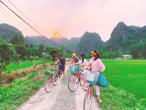 ninh binh