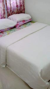 daisyinn budget hotel kuala terengganu