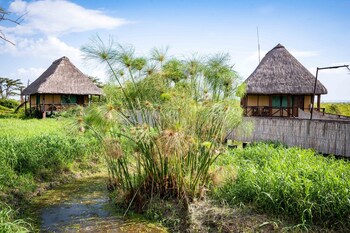 little okavango camp serengeti a tent with a view safaris