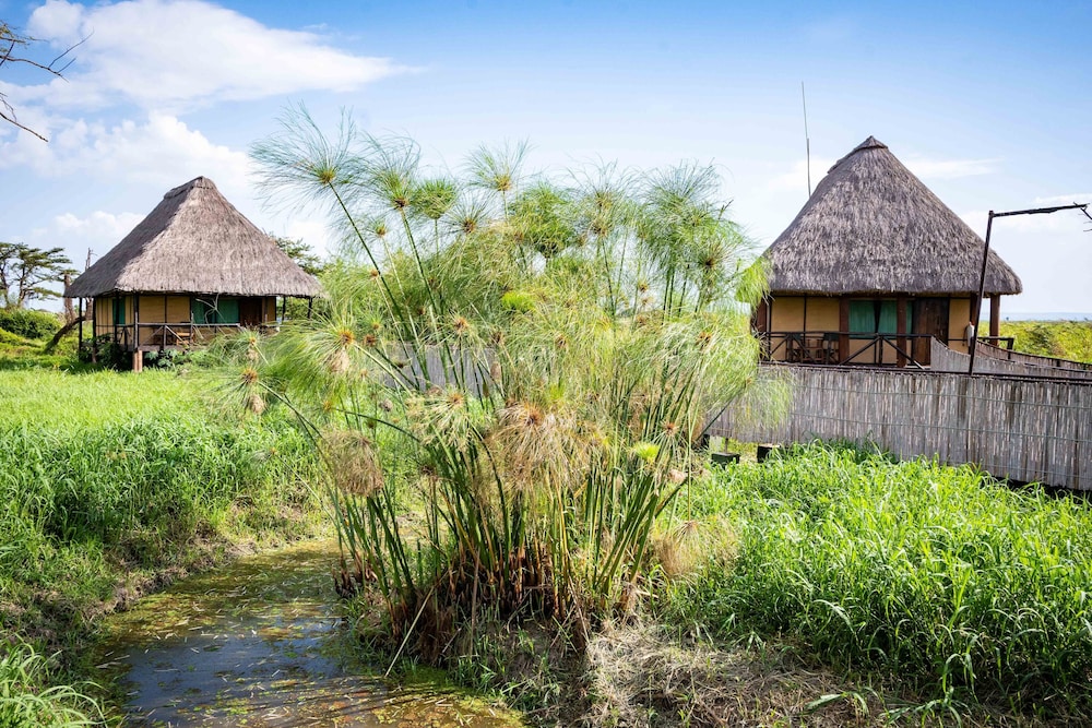 little okavango camp serengeti a tent with a view safaris