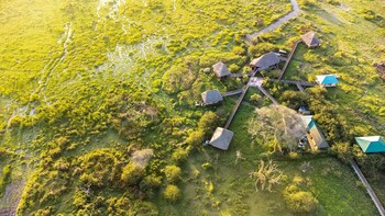 little okavango camp serengeti a tent with a view safaris