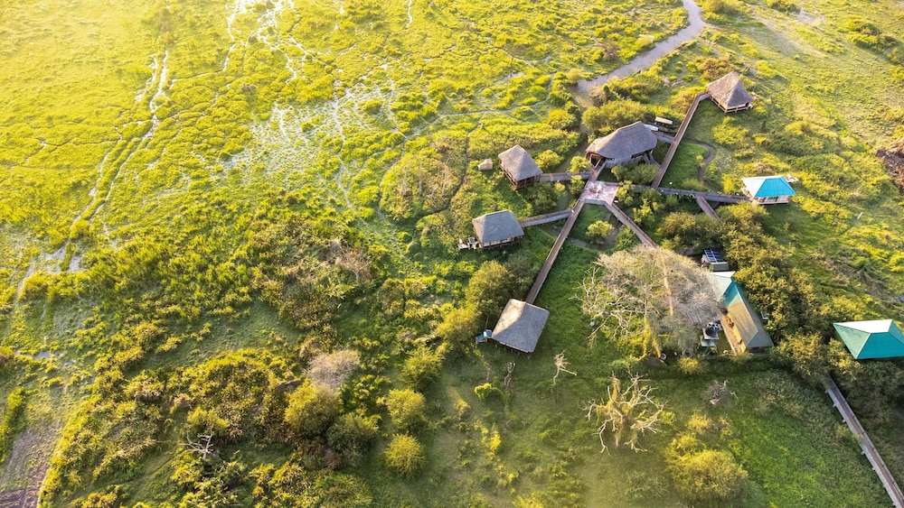 little okavango camp serengeti a tent with a view safaris
