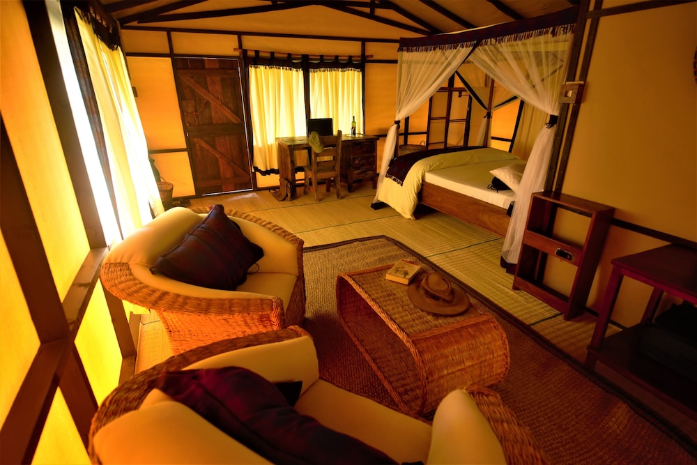 little okavango camp serengeti a tent with a view safaris