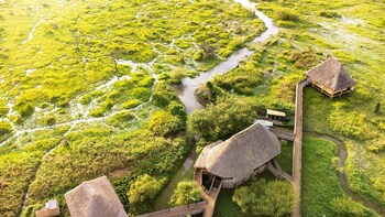 little okavango camp serengeti a tent with a view safaris