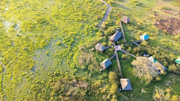 little okavango camp serengeti a tent with a view safaris