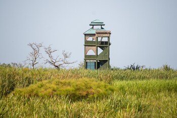 little okavango camp serengeti a tent with a view safaris