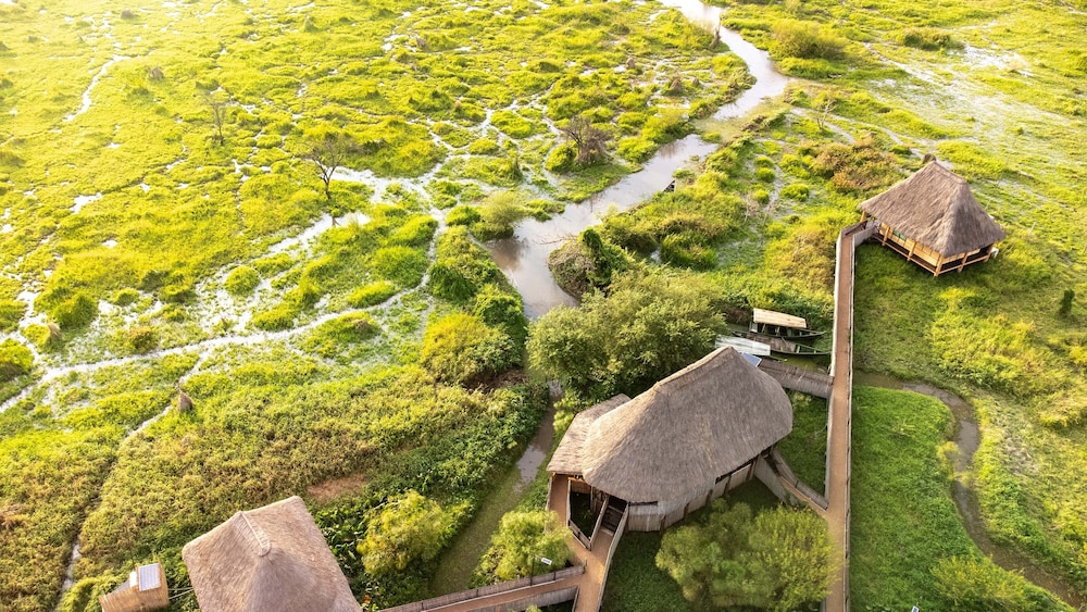 little okavango camp serengeti a tent with a view safaris