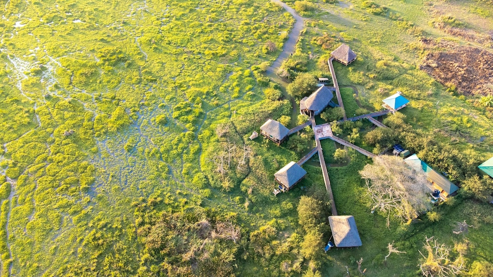 little okavango camp serengeti a tent with a view safaris