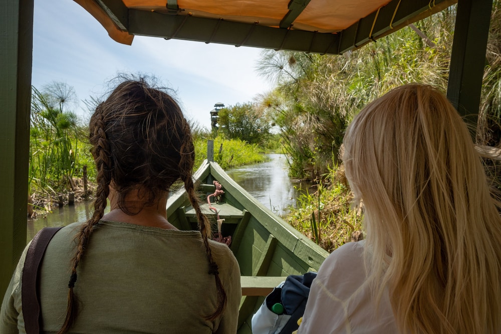 little okavango camp serengeti a tent with a view safaris