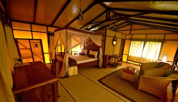 little okavango camp serengeti a tent with a view safaris