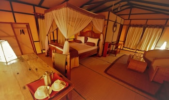 little okavango camp serengeti a tent with a view safaris