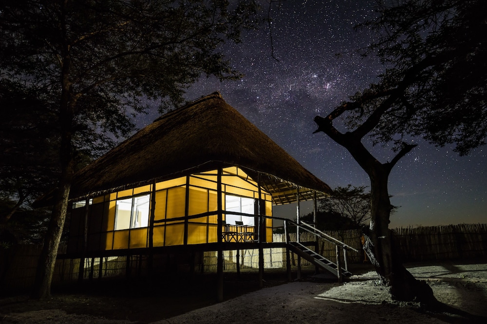 little okavango camp serengeti a tent with a view safaris