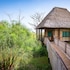 little okavango camp serengeti a tent with a view safaris