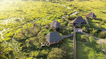 little okavango camp serengeti a tent with a view safaris