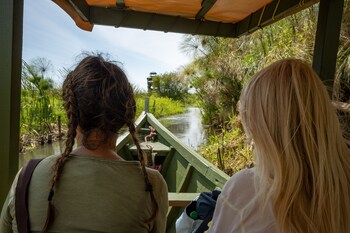 little okavango camp serengeti a tent with a view safaris
