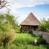 little okavango camp serengeti a tent with a view safaris