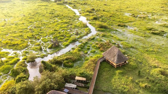 little okavango camp serengeti a tent with a view safaris
