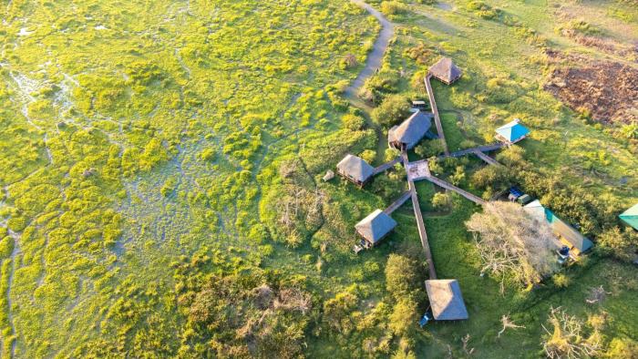 little okavango camp serengeti a tent with a view safaris