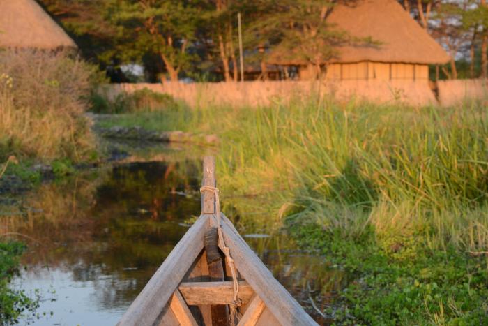 little okavango camp serengeti a tent with a view safaris