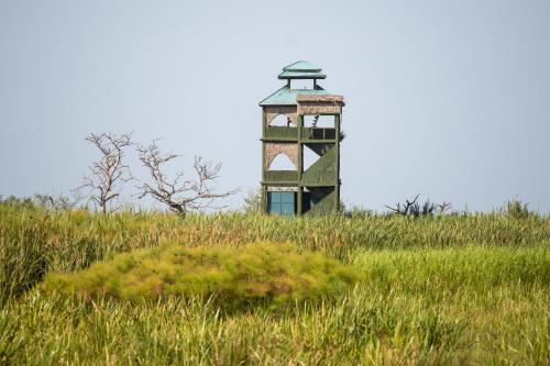 little okavango camp serengeti a tent with a view safaris