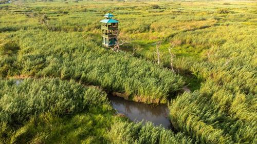 little okavango camp serengeti a tent with a view safaris