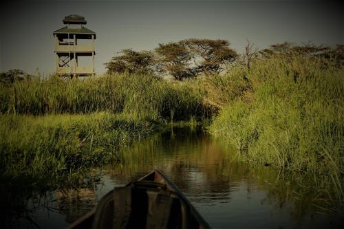 little okavango camp serengeti a tent with a view safaris