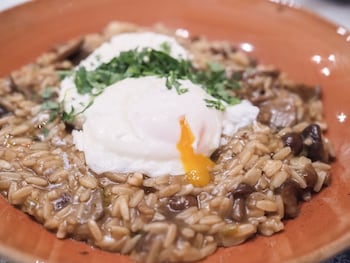 v1935 luxurious apartments