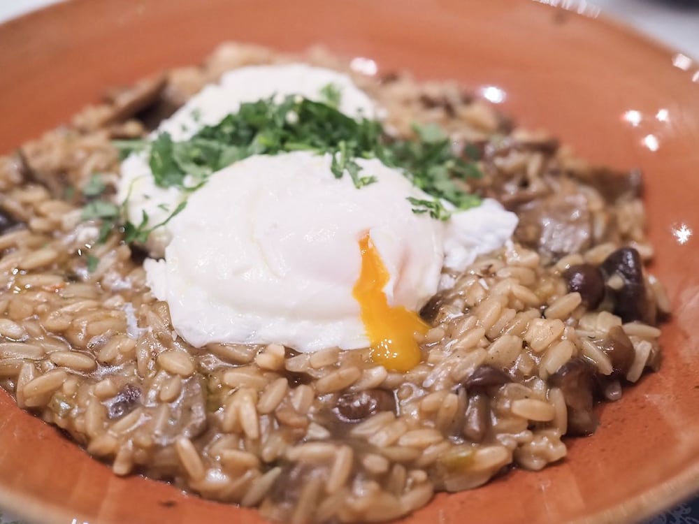 v1935 luxurious apartments