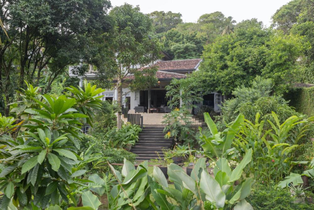 hibiscus villa and cottages