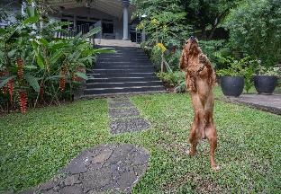 hibiscus villa and cottages