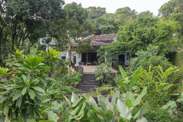 hibiscus villa and cottages